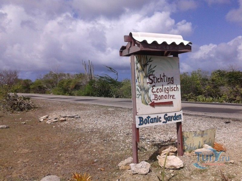 Ботанический Сад Бонайре