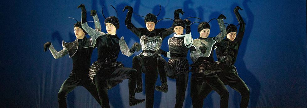 Истрийский национальный театр