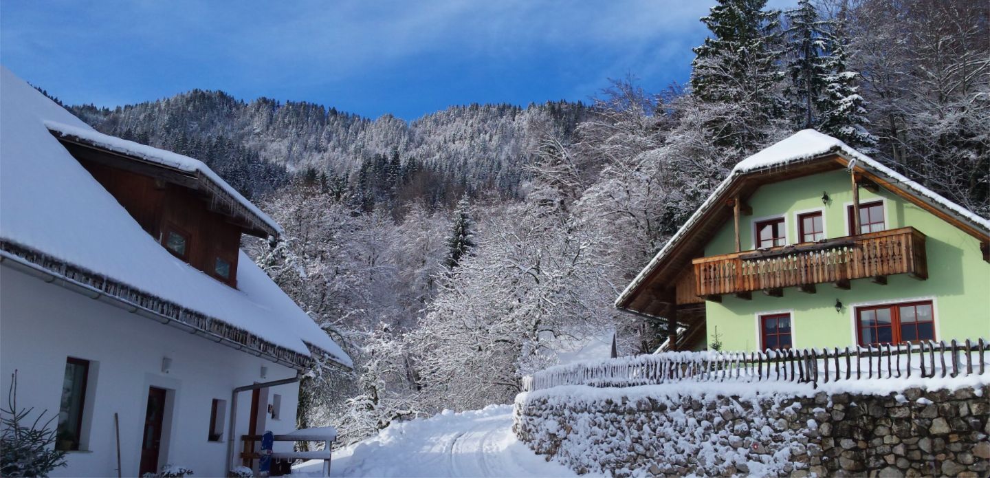 Tourist Farm PrVaznik