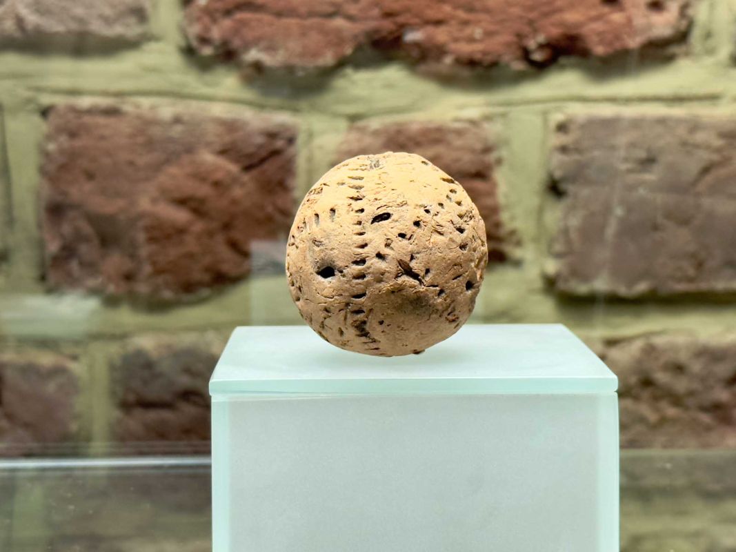 Вроцлавский археологический музей