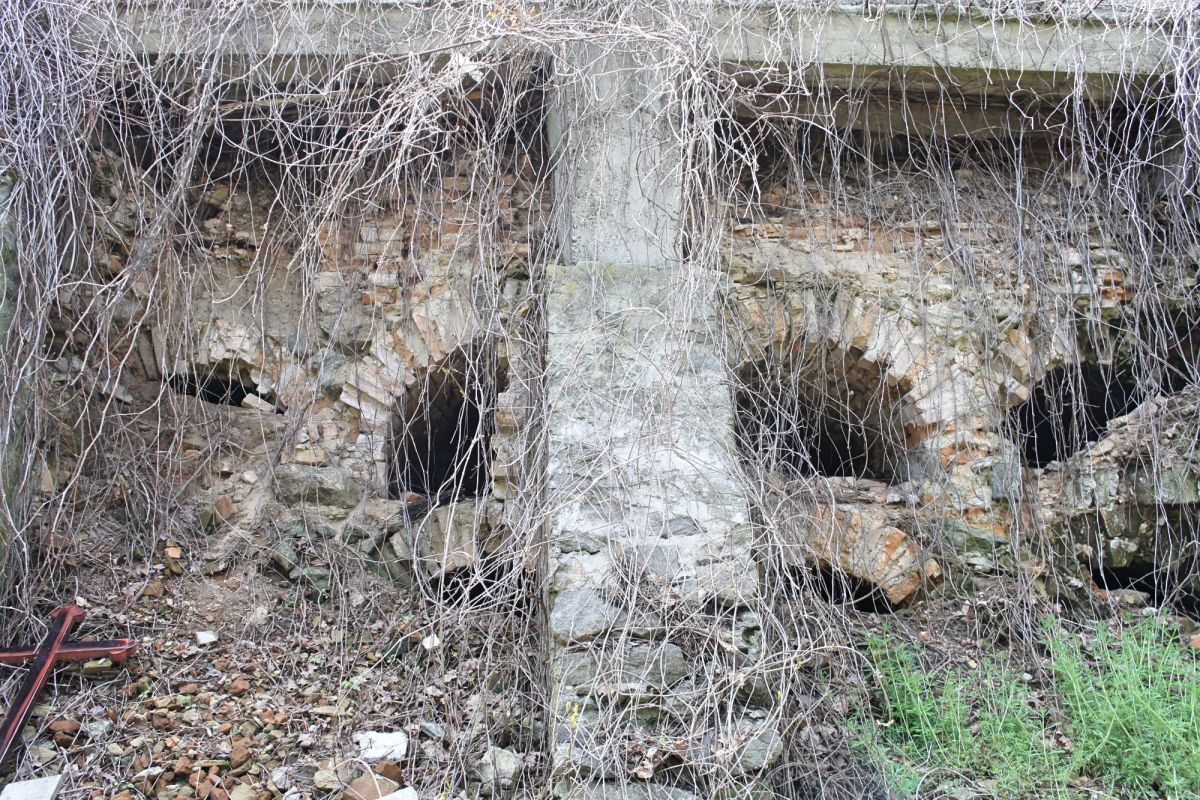 Польское кладбище