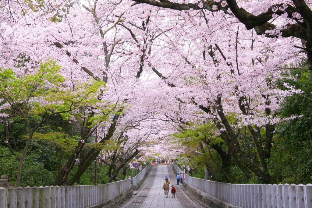 Святилище Муко