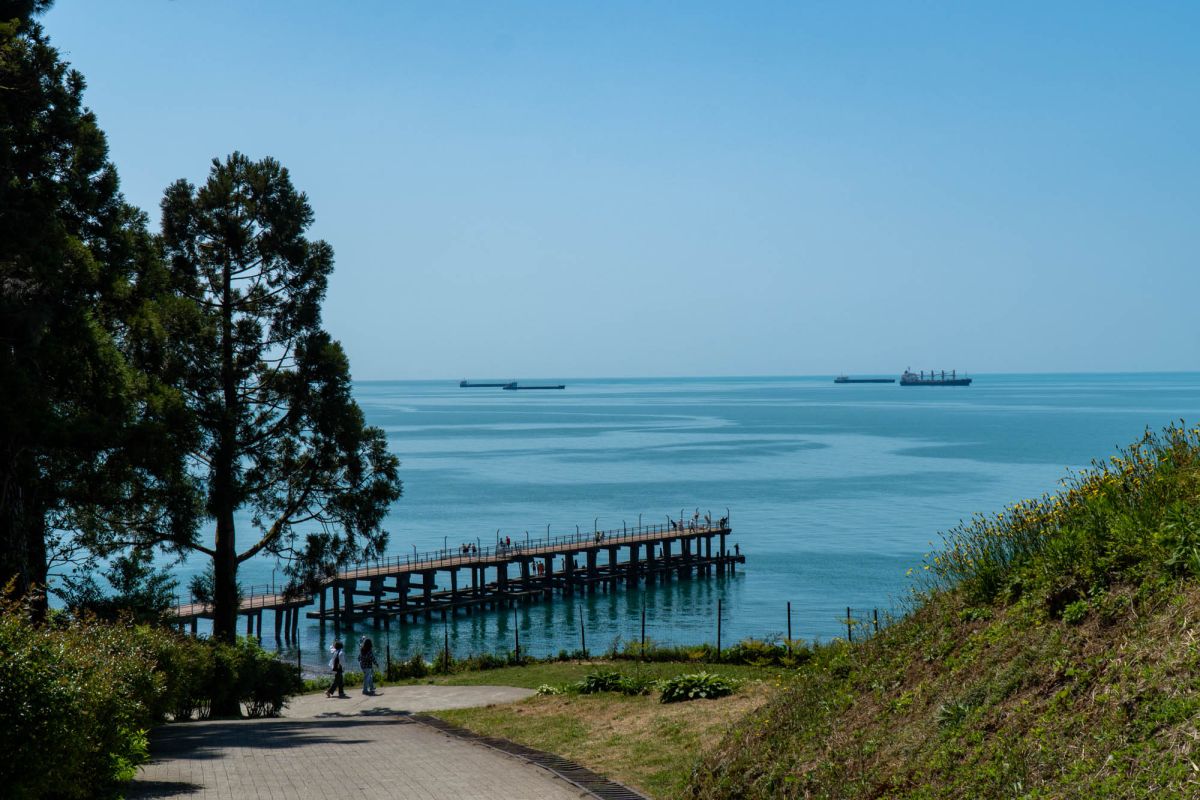 Батумский ботанический сад