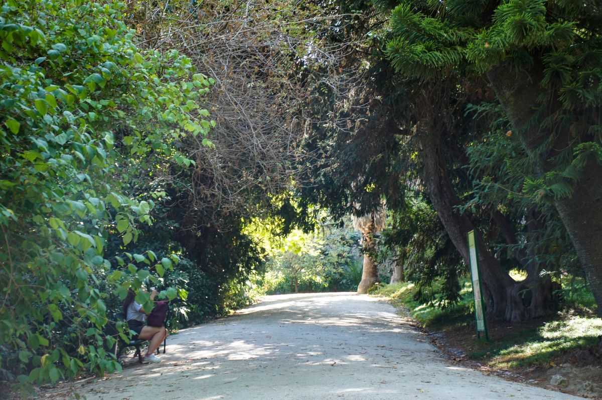 Ботанический сад Лиссабона