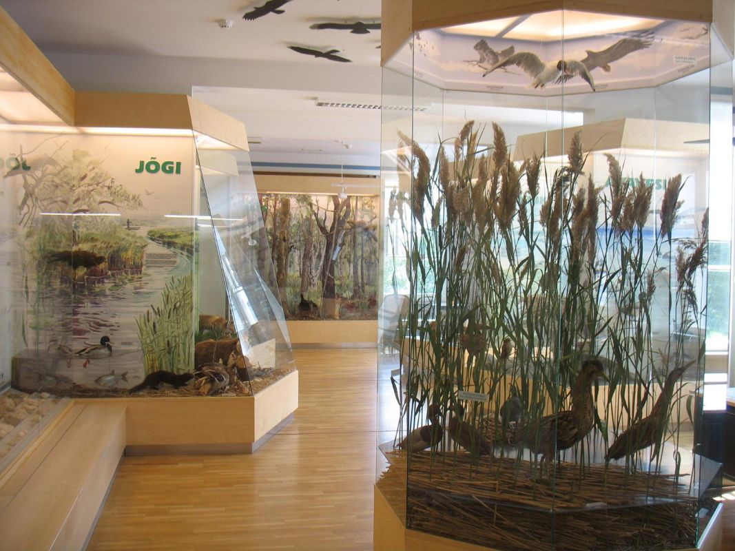 Национальный парк и природный центр Матсалу