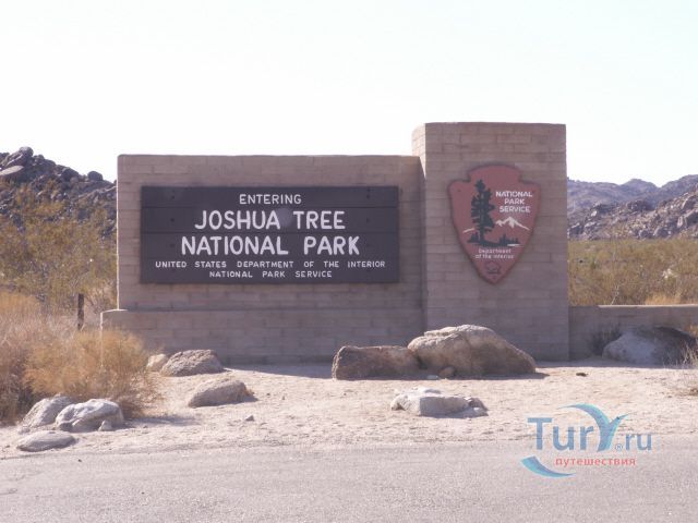 Национальный Парк Джошуа Три