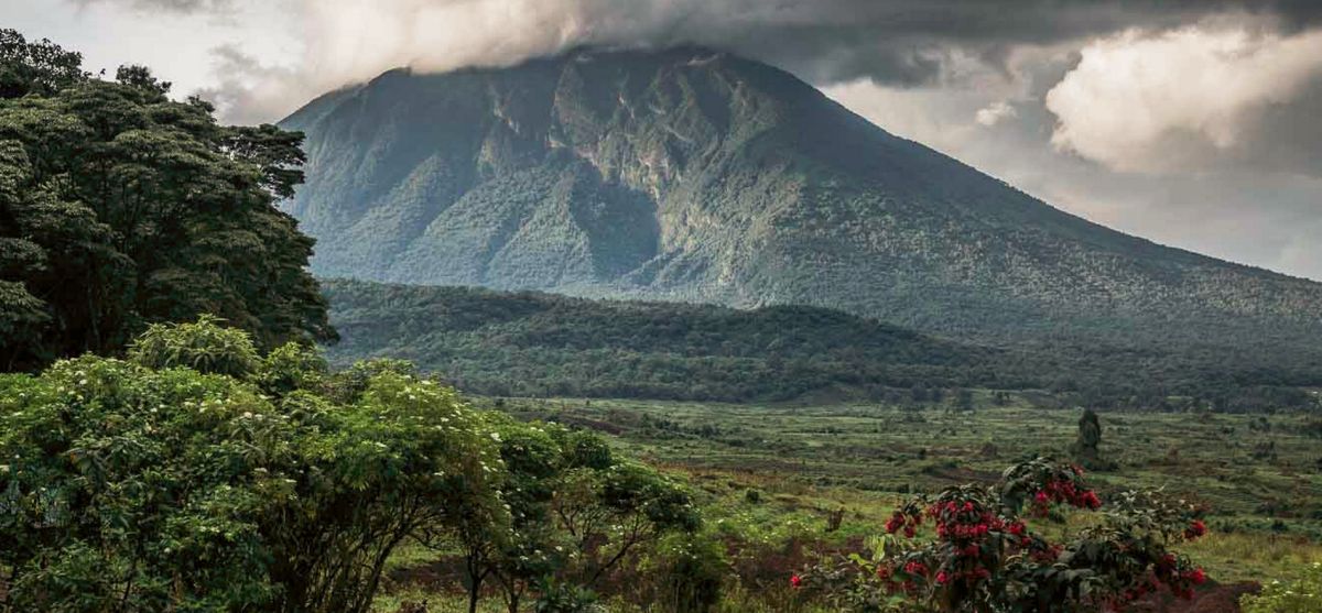 Национальный парк Вирунга