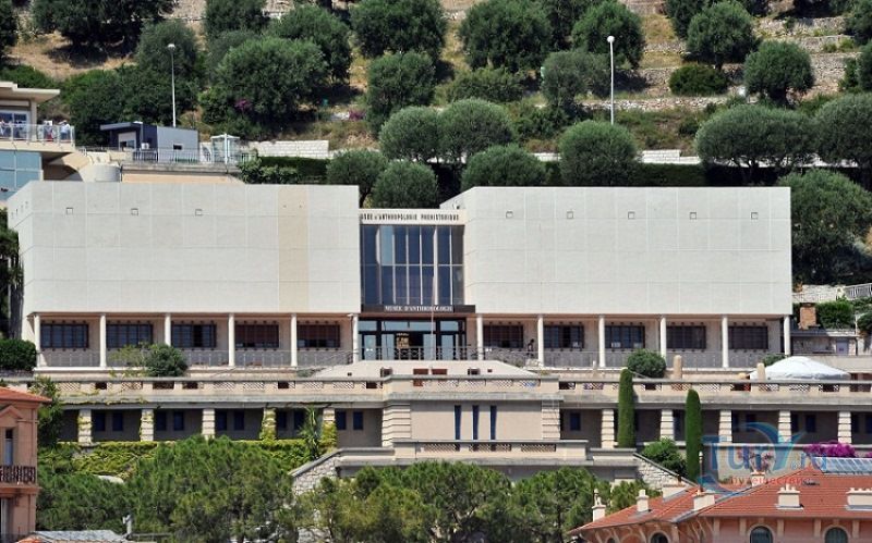 Музей доисторической антропологии