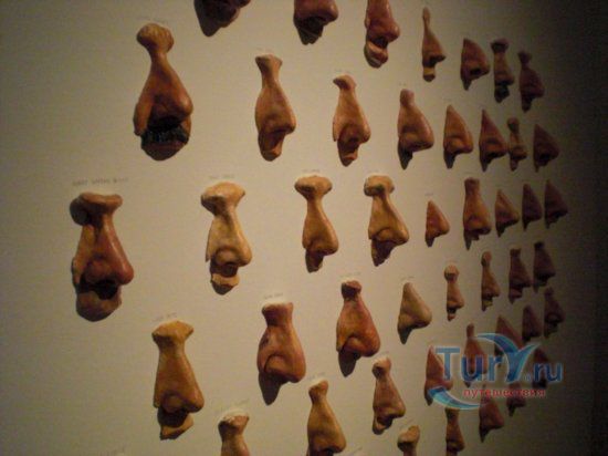 Еврейский Музей