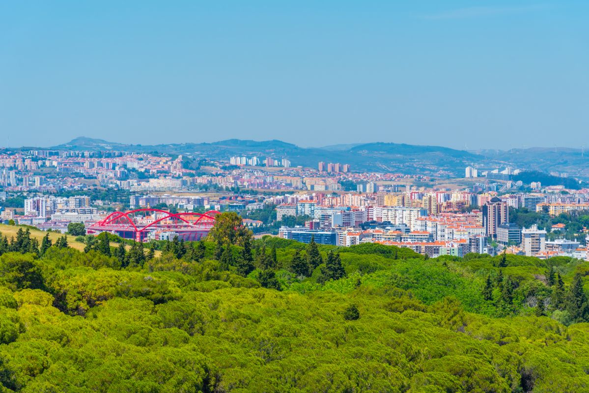 Лесной парк Монсанто