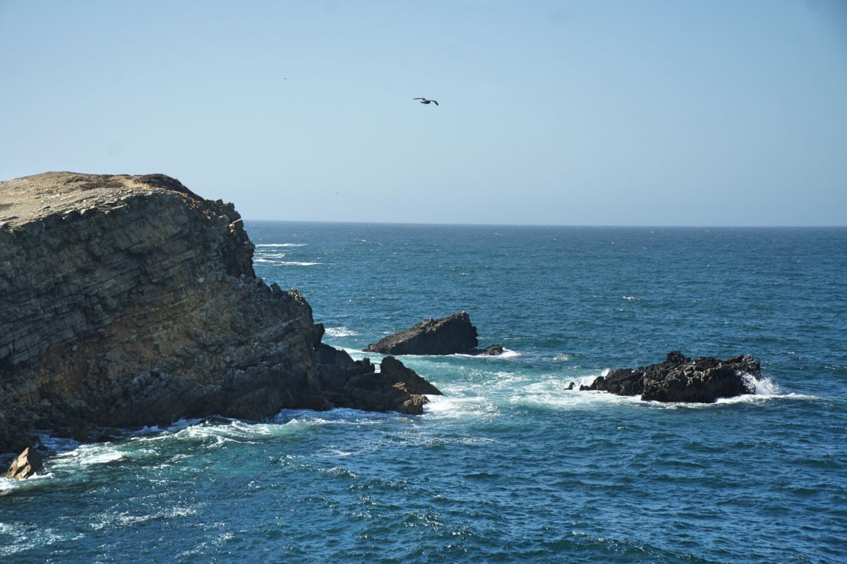 Камперван Дэй Парк