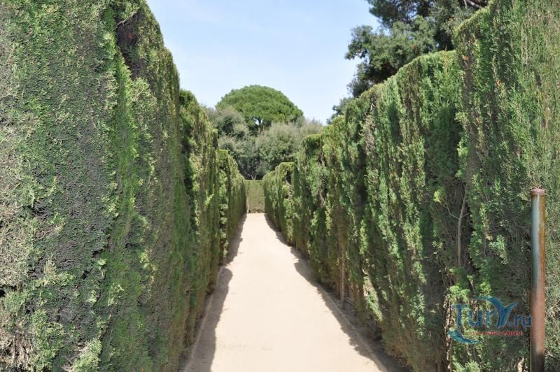 Лабиринт Орта