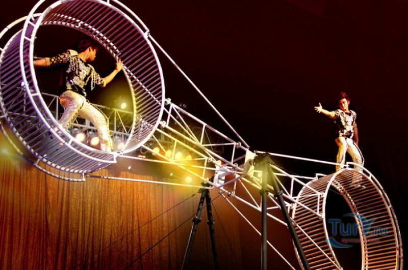 Всемирный Шанхайский Цирк