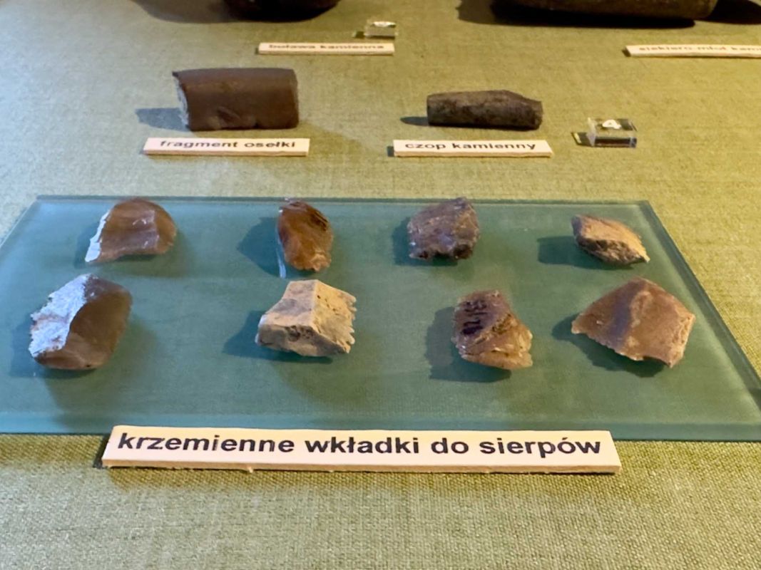 Вроцлавский археологический музей