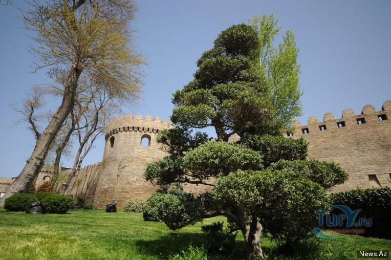 Парк Филармонии 