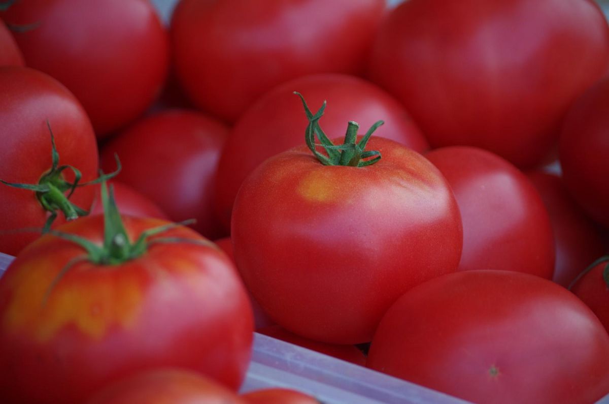 Центральный рынок Тарту