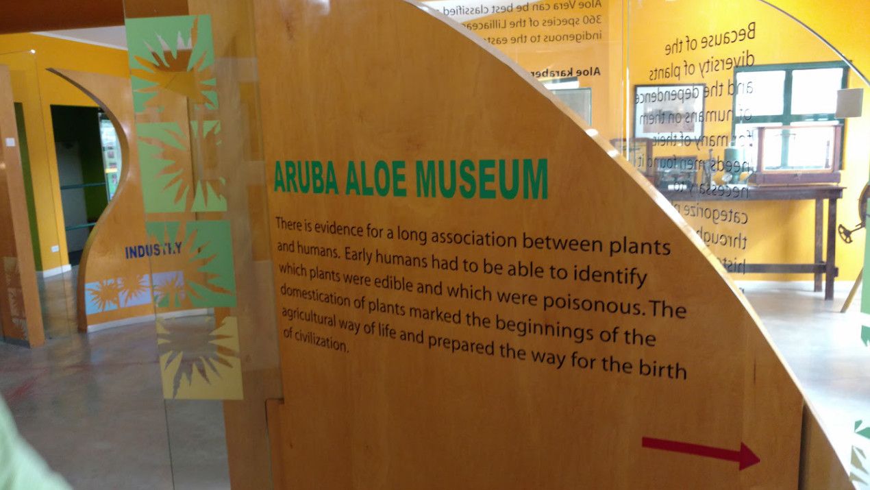 Арубийский Музей и Фабрика Алоэ Вера