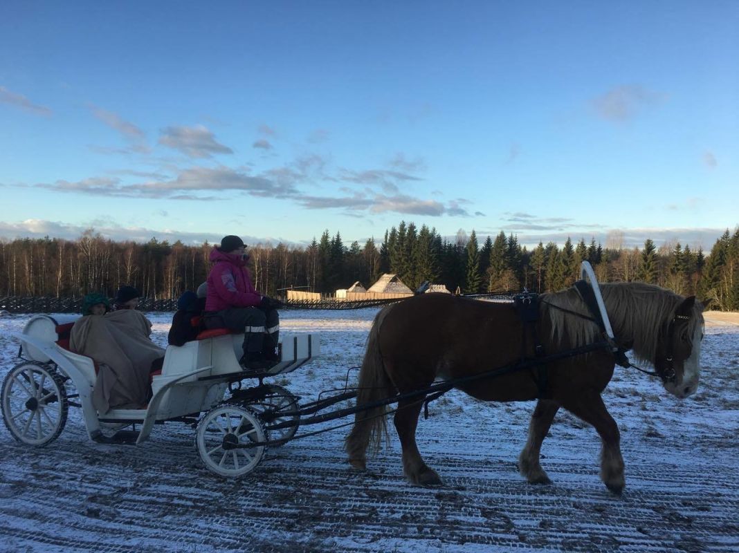 Музей Антона Хансена Таммсааре в Варгамяэ