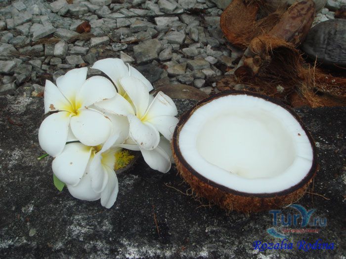 Музей риса Ламан Пади