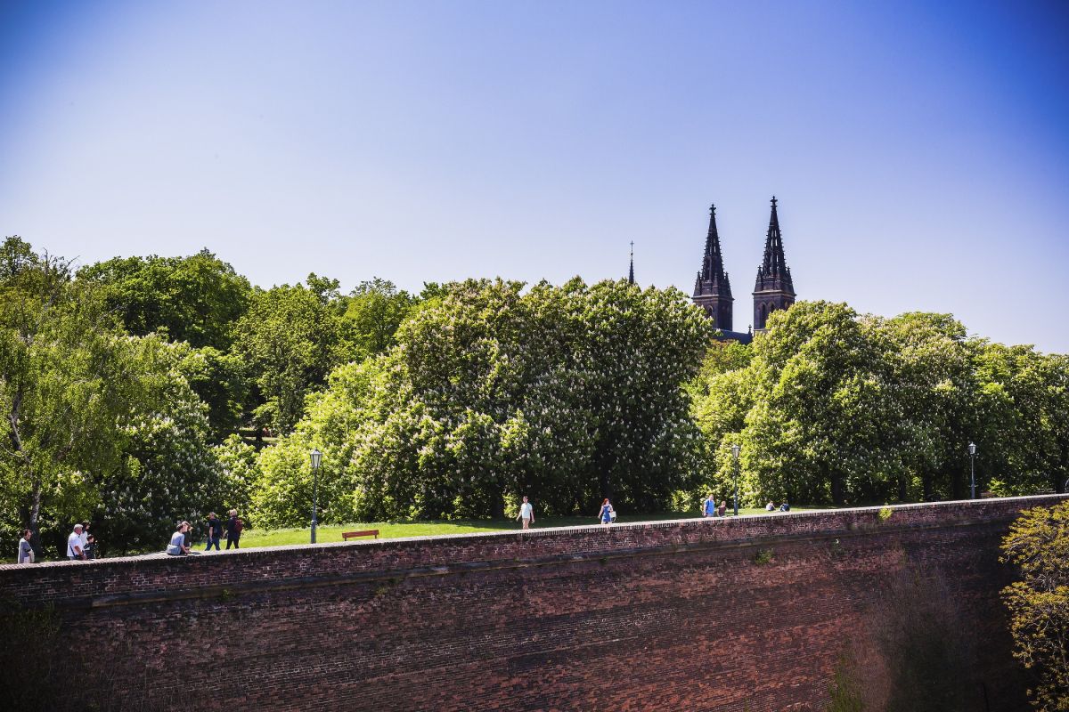 Вышеградские сады