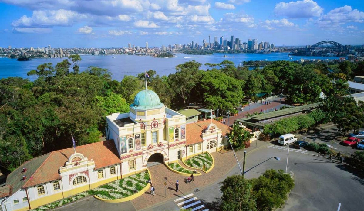 Зоопарк Таронга 