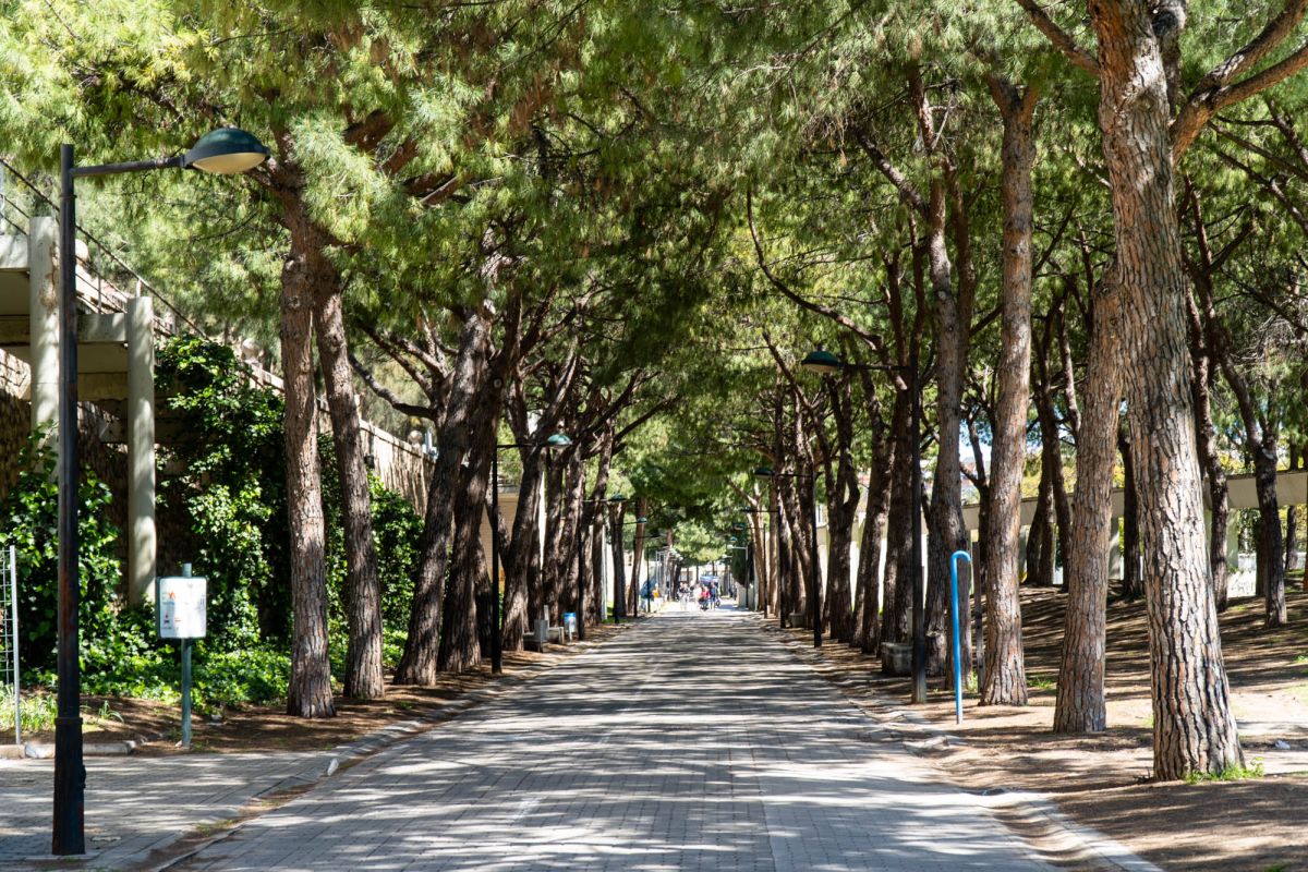 Сад Турия Валенсия. Парк Турия