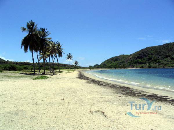 Кокшелл Бэй