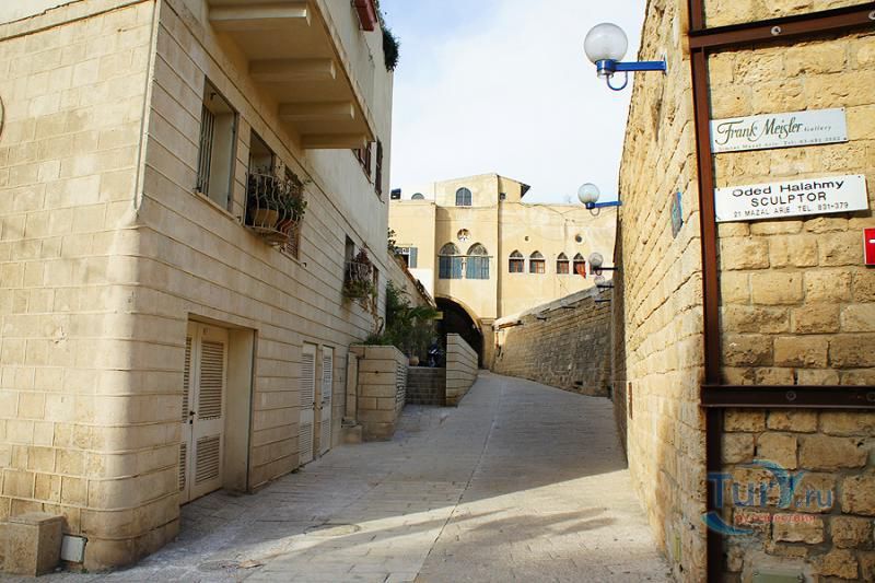 Галерея Франка Мейслера в Яффе