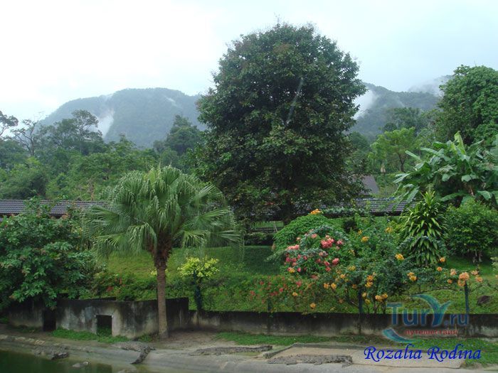 Крокодиловая ферма Лангкави