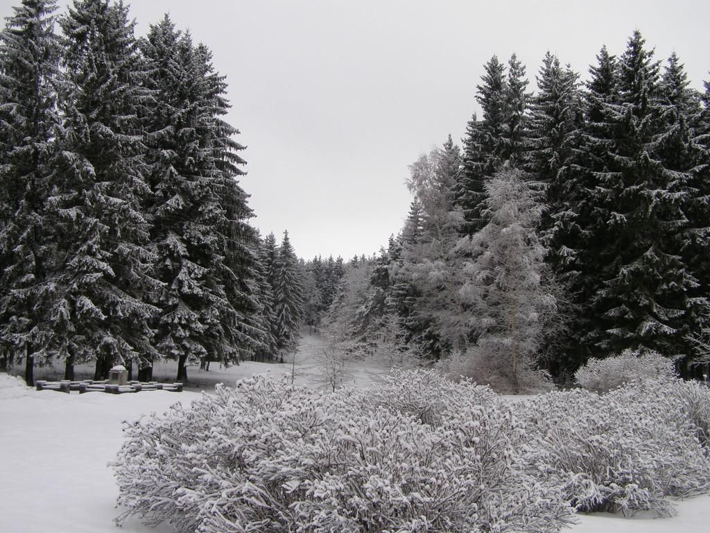 Памятный знак Освободительной войны в лесу Палермо в Раквере