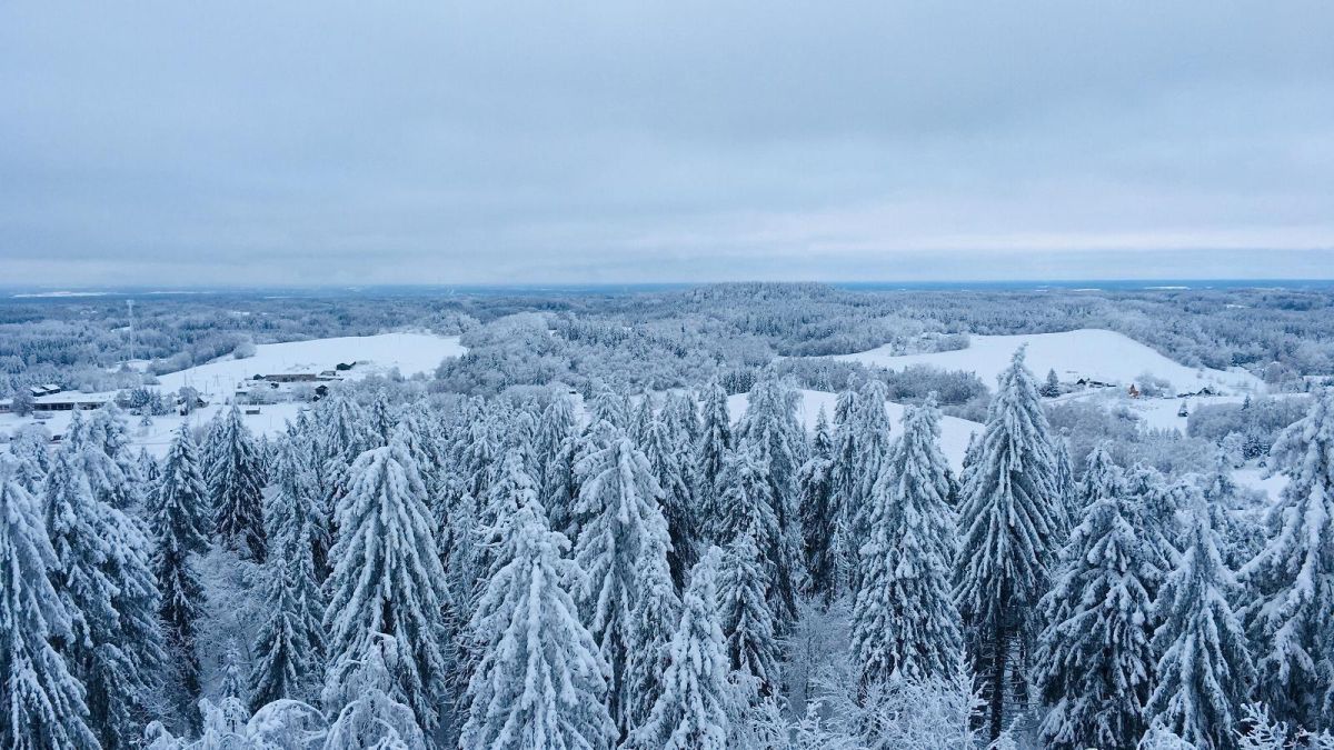 Смотровая вышка Суур-Мунамяги (Большая Мунамяги)