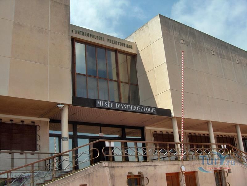 Музей доисторической антропологии