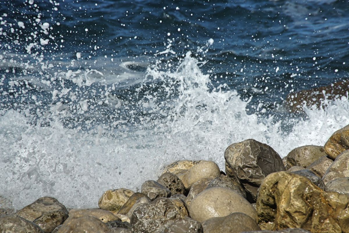 Камперван Дэй Парк