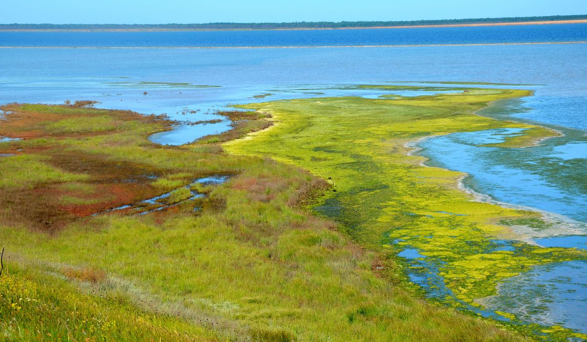 Тузловские лиманы природный парк