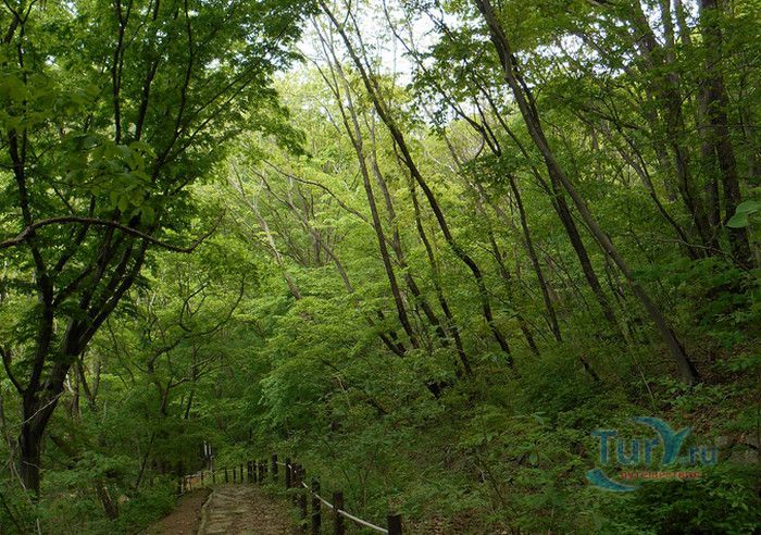 Национальный Парк Пукхансан