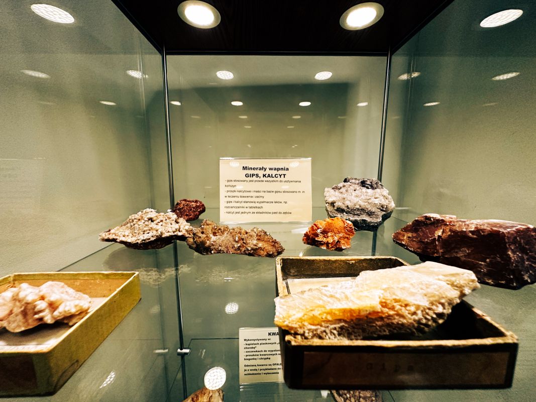 Аптекарский музей во Вроцлаве