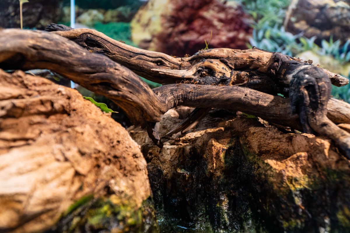 Музей наук принца Фелипе