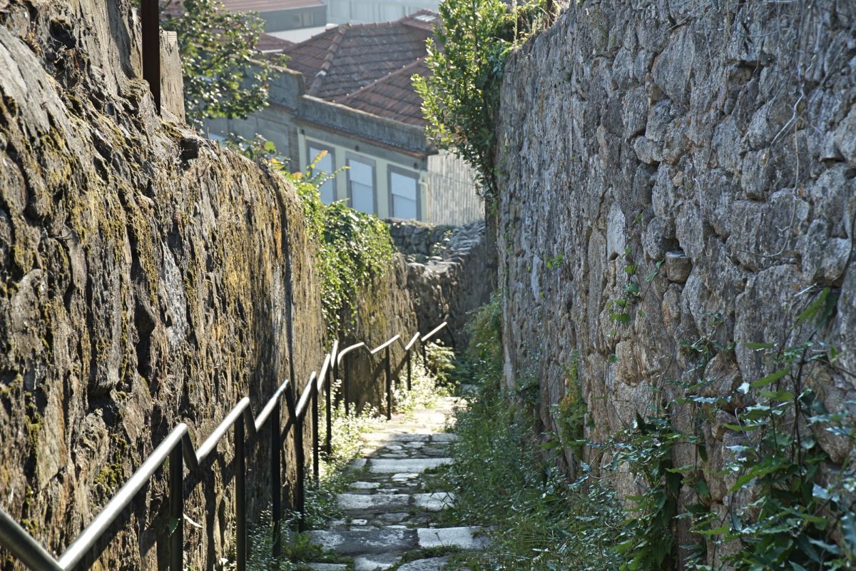 Rua das Macieirinhas