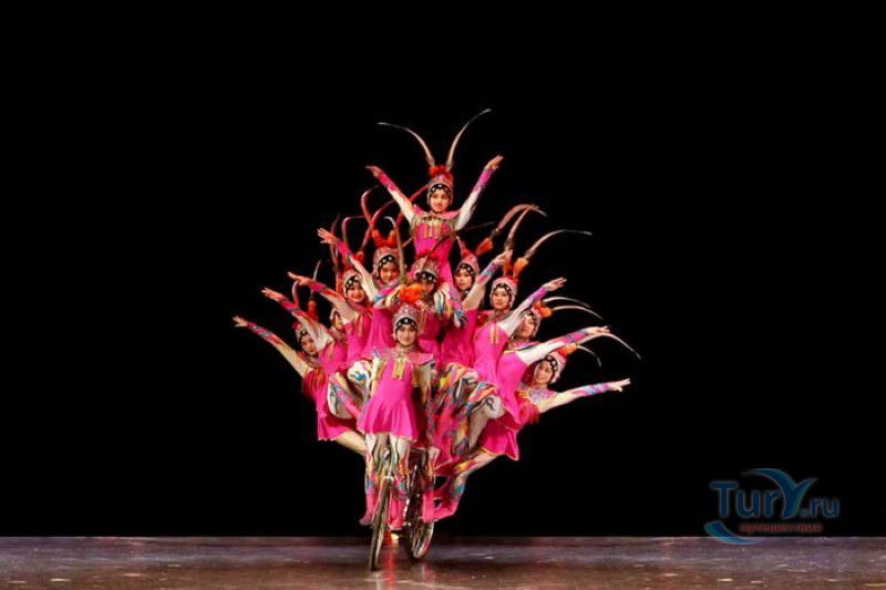 Всемирный Шанхайский Цирк