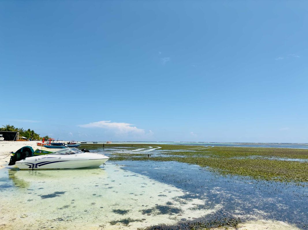 Маафуши Планктон Бич