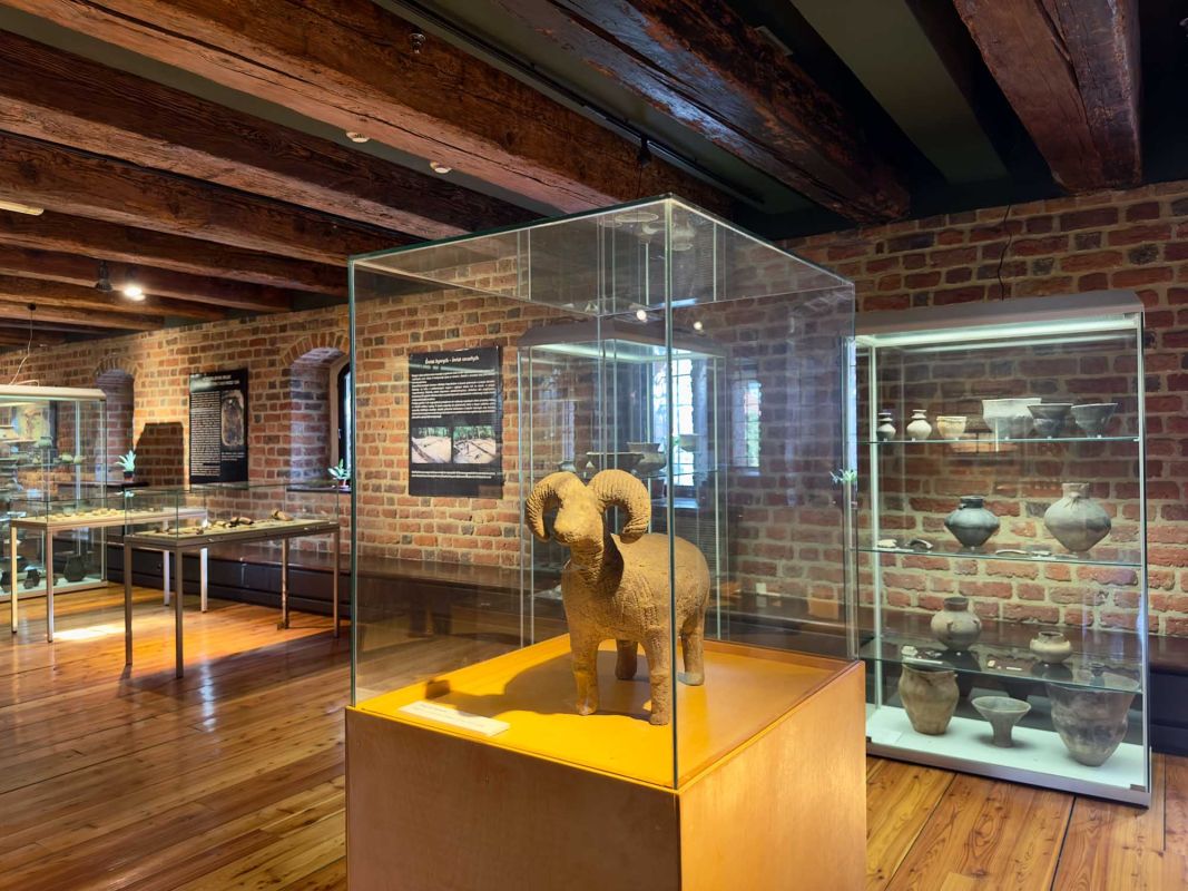 Вроцлавский археологический музей