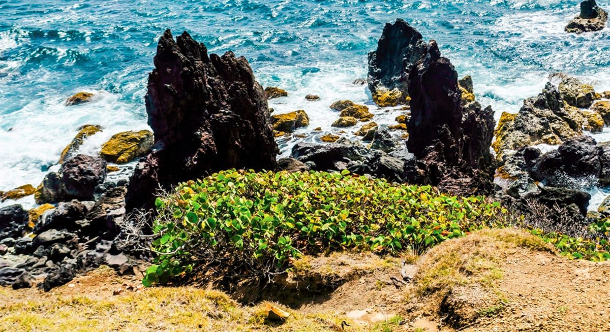 Черные скалы Black Rocks