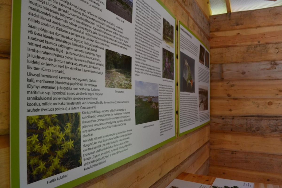 Музеи острова Прангли