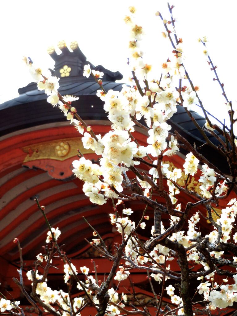 Святилище Нагаока Тенмангу