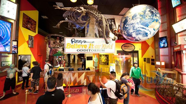 Музей Рипли «Хотите верьте, хотите нет»