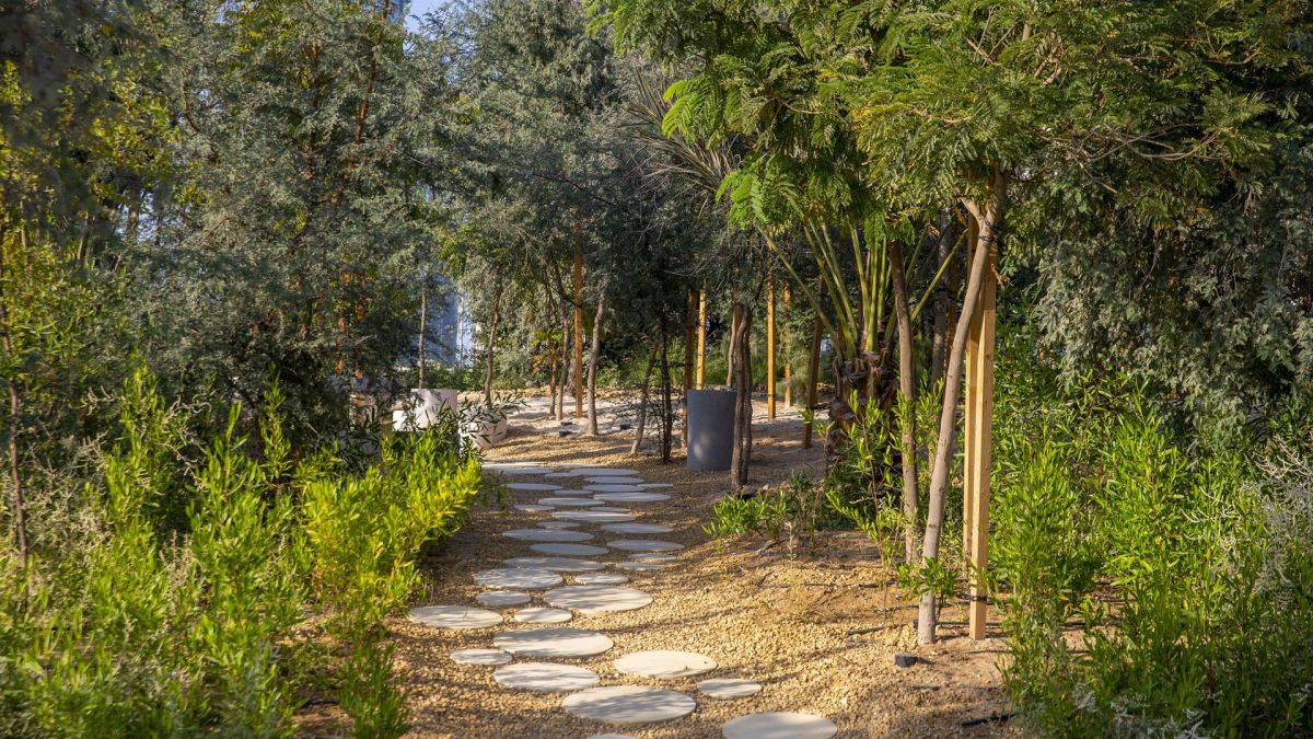 Парк Аль Фей