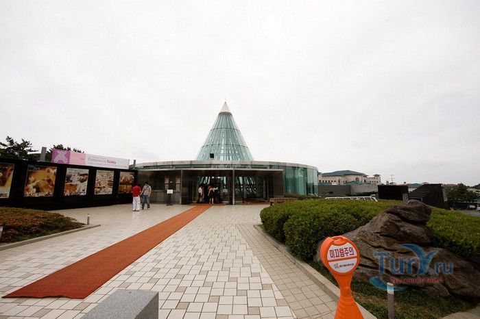 Музей Плюшевых Мишек