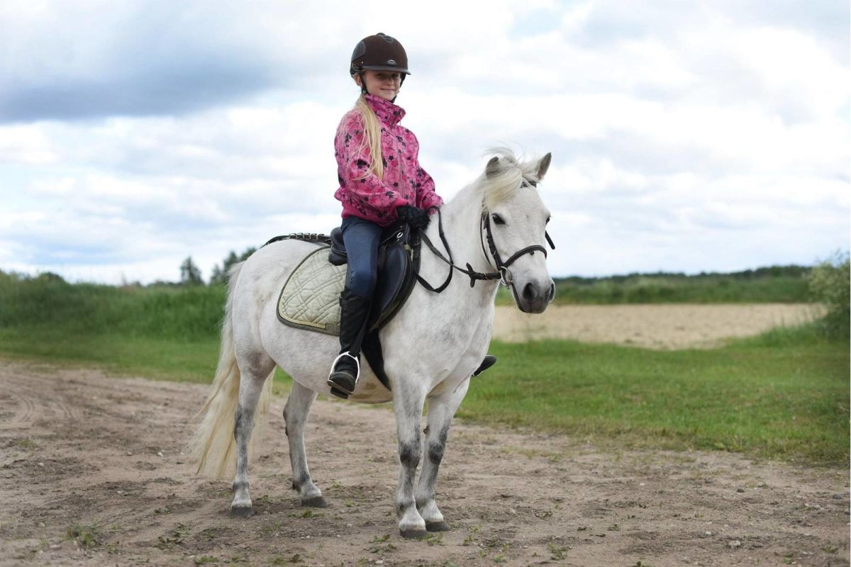 Конюшни Лаане