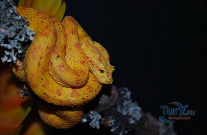 Музей Воды Аквариа