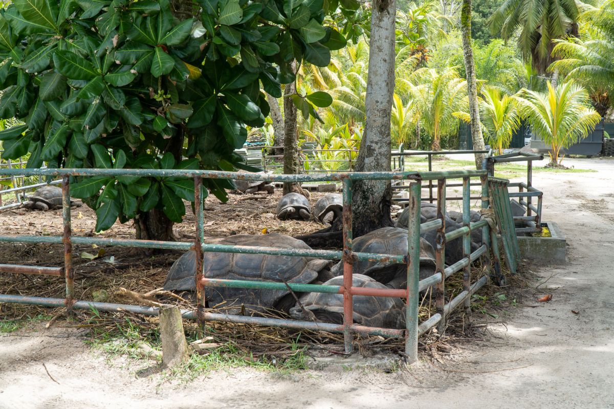 Пляж Анс Такамака